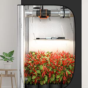 How to Create the Ideal Environment for Your Indoor Garden with LED Grow Lights