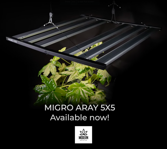 Migro Aray 5X5 LED Grow Light Review. Big On Power. Small On Price